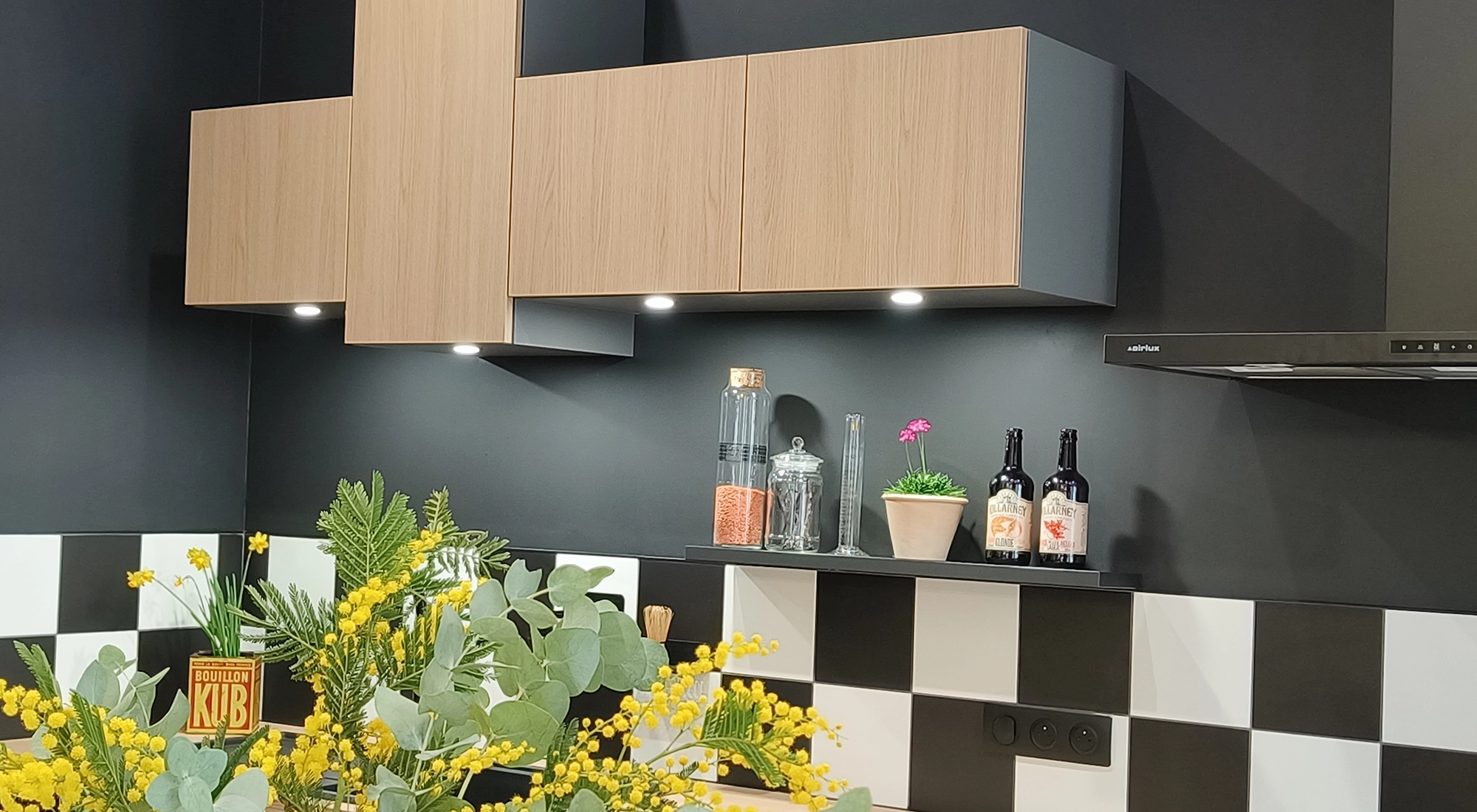 une cuisine sur mesure équipée moderne à Lyon 9e